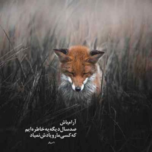 دانلود آهنگ تنها باشی هر جا باشی خودم میگیرم دورتو