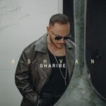 دانلود آهنگ اشوان به نام غریبه