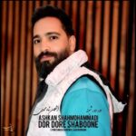 دانلود آهنگ اشکان شاه محمدی به نام دور دور شبونه