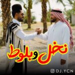 دانلود آهنگ دیجی یاسین به نام نخل و بلوط
