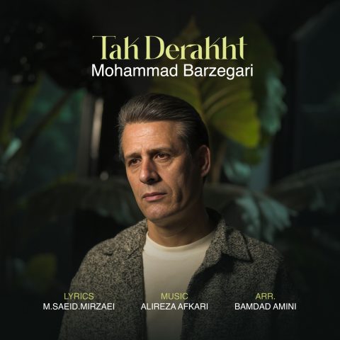 دانلود آهنگ محمد برزگری به نام تک درخت
