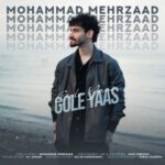 دانلود آهنگ محمد مهرزاد به نام گل یاس