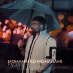 دانلود آهنگ محمد محرمی به نام یاغیش