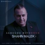 دانلود آهنگ شاهین ملک به نام عاشق دیوونه