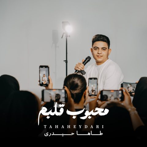 دانلود آهنگ طاها حیدری به نام محبوب قلبم