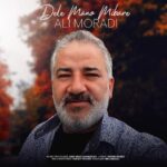 دانلود آهنگ علی مرادی به نام دل منو میبره