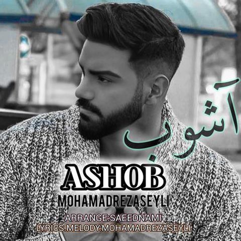 دانلود آهنگ محمدرضا سیلی به نام آشوب