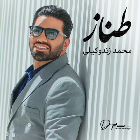 دانلود آهنگ محمد زندوکیلی به نام طناز