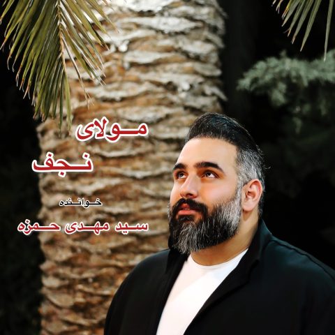 دانلود آهنگ سید مهدی حمزه به نام مولای نجفی