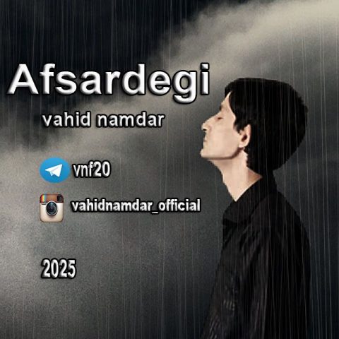 دانلود آهنگ وحید نامدار به نام افسردگی