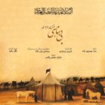 دانلود آهنگ فرزین بردباری به نام بی پناهی