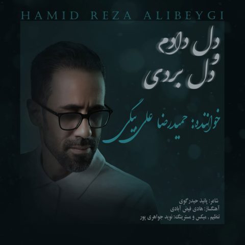 دانلود آهنگ حمیدرضا علی بیگی به نام دل دادم و دل بردی