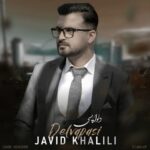 دانلود آهنگ جاوید خلیلی به نام دلواپسی