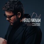 دانلود آهنگ هیراد نیکنام به نام دیدی