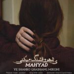 دانلود آهنگ مهیاد به نام یه شهرو قشنگ میکنی