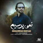 دانلود آهنگ محمد مفرد به نام نمی پرسیم