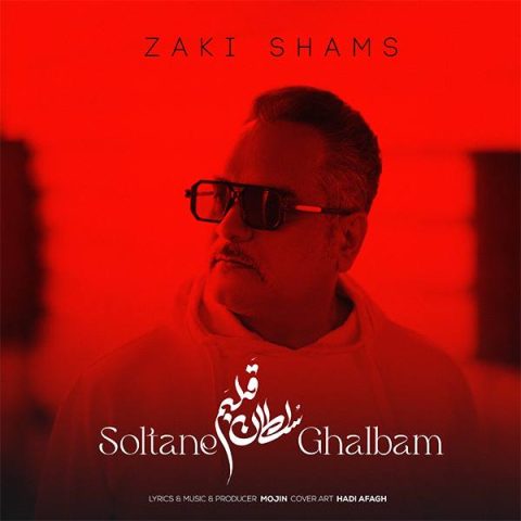 دانلود آهنگ زکی شمس آبادی به نام سلطان قلبم