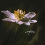 دانلود آهنگ مثل تموم عالم حال منم خرابه
