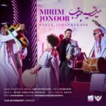 دانلود آهنگ بابک جهانبخش به نام میریم جنوب (اجرای کنسرت)