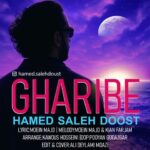 دانلود آهنگ حامد صالح دوست به نام غریبه