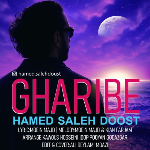 دانلود آهنگ حامد صالح دوست به نام غریبه