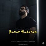 دانلود آهنگ محمد پیمانی به نام باور ندارم
