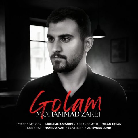 دانلود آهنگ محمد زارعی به نام گلم
