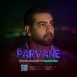 دانلود آهنگ محمدرضا شوندی به نام پروانه