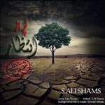 دانلود آهنگ سید علی شمس به نام پر از انتظار