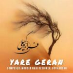 دانلود آهنگ فراز وکیلی به نام یار گران