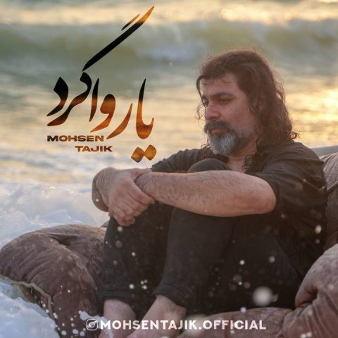 دانلود آهنگ محسن تاجیک به نام یار واگرد