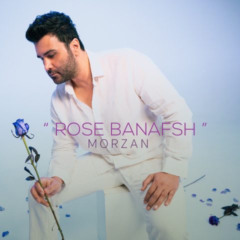 دانلود آهنگ مرضان به نام رز بنفش