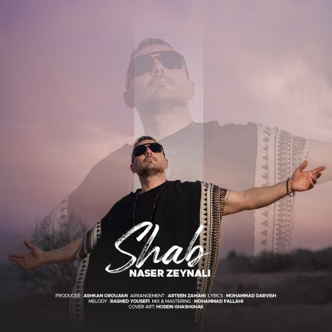 دانلود آهنگ ناصر زینلی به نام شب