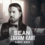 دانلود آهنگ شان به نام زخم کاری (ریمیکس عابد)
