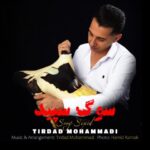 دانلود آهنگ تیرداد محمدی به نام سوگ سپید دانلود آهنگ تیرداد محمدی به نام سوگ سپید