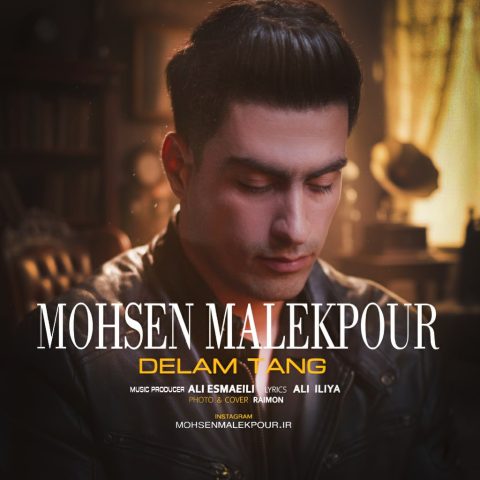 دانلود آهنگ محسن ملک پور به نام دلم تنگ