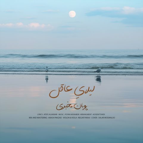 دانلود آهنگ پویان مخبری به نام لیلای عاقل