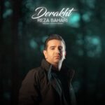 دانلود آهنگ رضا بهاری به نام درخت دانلود آهنگ رضا بهاری به نام درخت