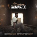 دانلود آهنگ سلمان زید به نام برگرد