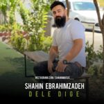 دانلود آهنگ شاهین ابراهیم زاده به نام دل دیگه