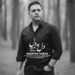 دانلود آهنگ شروین تبار به نام دل به دل
