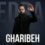 دانلود آهنگ پدرام خسروی به نام غریبه