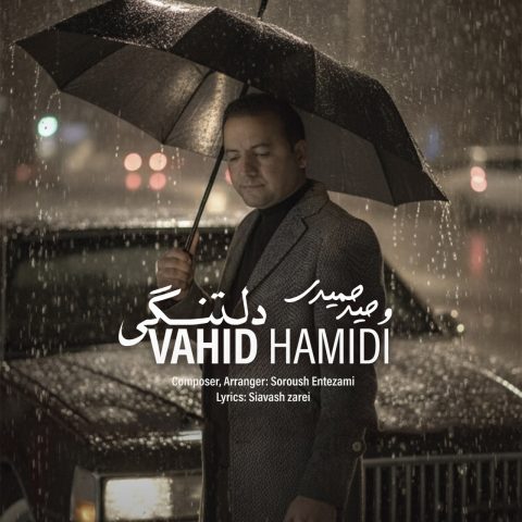 دانلود آهنگ وحید حمیدی به نام دلتنگی