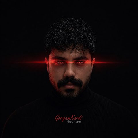 دانلود آهنگ هونام به نام گرگم کردی