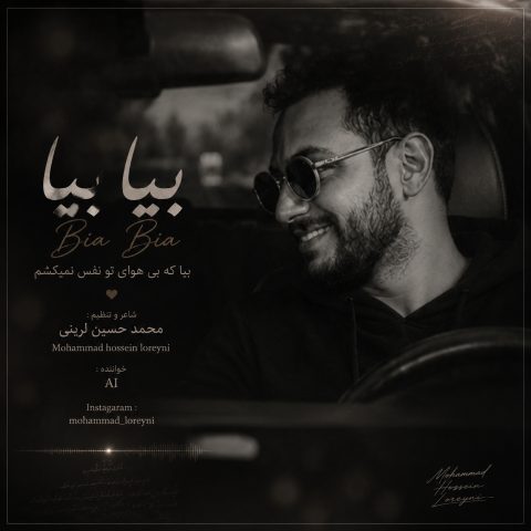 دانلود آهنگ محمد حسین لرینی به نام بیا بیا