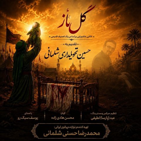 دانلود آهنگ محمدرضا حسنی به نام گل ناز