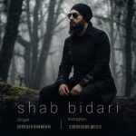 دانلود آهنگ سروش قنبری به نام شب بیداری