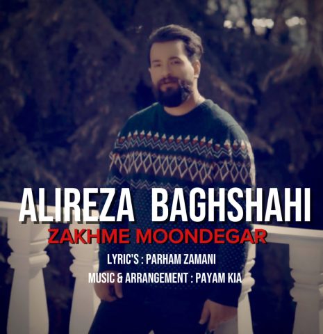 دانلود آهنگ علیرضا باغشاهی به نام زخم موندگار