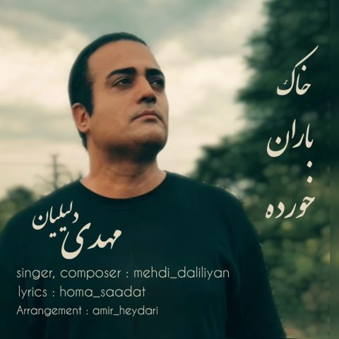 دانلود آهنگ مهدی دلیلیان به نام خاک باران خورده