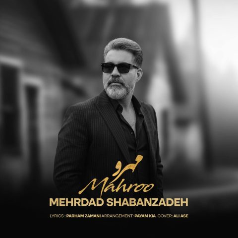 دانلود آهنگ مهرداد شعبان زاده به نام مهرو